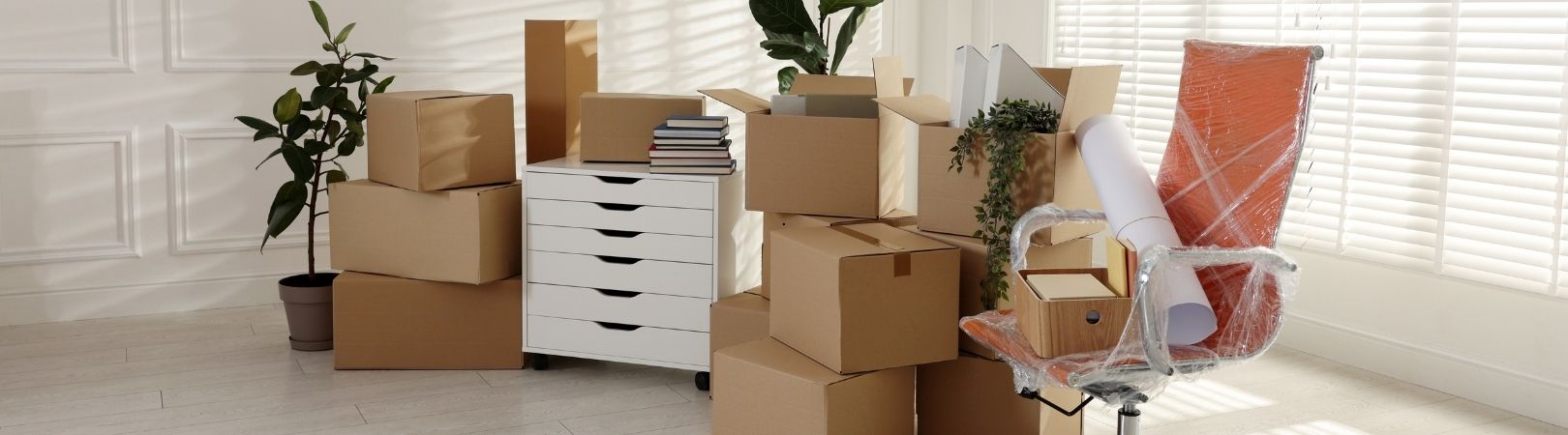 Tour Packages Background Image